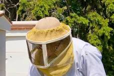Introduction to Beekeeping