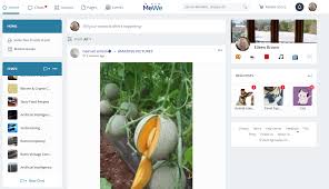 Have Issues With Facebook Collecting Your Data Privacy First Alternative Mewe Surges To 9m Users Zdnet See what employees say it's like to work at mewe. alternative mewe surges to 9m users zdnet