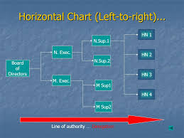 the organizational structure of nursing service department