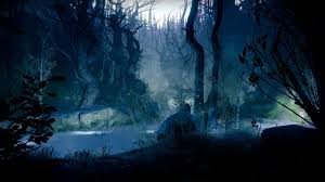 .these wallpapers are free download for pc, laptop, iphone, android phone and ipad desktop. The Dark Forest Destiny 2 Live Wallpaper 4k Youtube