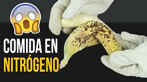 Descubre la mejor forma de comprar online. Comida Vs Nitrogeno Liquido Que Crees Que Ocurrira Youtube