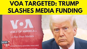 Frank Camello's Instagram, Twitter & Facebook