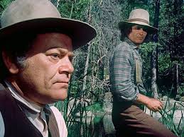 The Illustrated Little House