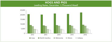 Could Pasture Raised Pork Provide A Sustainable Future For