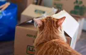 When you're looking for a new pet addition for your family or quality pet food and pet supplies, turn to the animal house in cincinnati, oh. State By State Guide To Moving With Pets Mymove