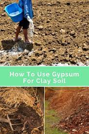 Know How To Use Gypsum For Clay Soil Clay Soil Plants Amending Clay Soil Organic Gardening Soil