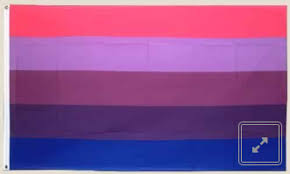 Diese transgenderflagge besteht aus polyester mit einem gewicht von 80 g/m². Alte Transgender Fahne L 90 X 150 Cm