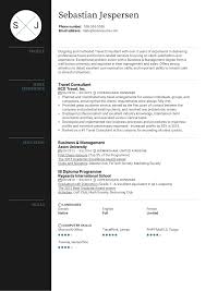 How to choose the best resume format, resume examples and templates for chronological, functional, and combination resumes, and writing tips and the right resume format will grab the hiring manager's attention immediately and make it clear that you're the best candidate for the job while. Travel Consultant Resume Sample Kickresume
