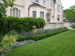 Plenty of boxwood varieties make great potted plants. Perennials Behind Boxwood Hedge Boxwood Landscaping Beautiful Home Gardens Front Garden Landscape