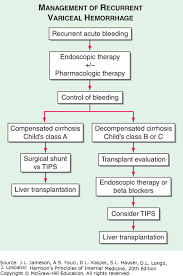 Cirrhosis And Its Complications Harrisons Principles Of