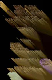 Image result for Droguetia ambigua