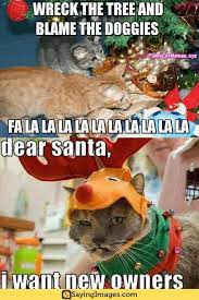 100 Funniest Merry Christmas Memes Sayingimages Com Merry Christmas Funny Merry Christmas Meme Funny Merry Christmas Memes