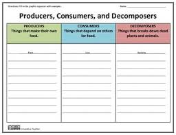 Science Producers Consumers Decomposers Graphic Organizers How To Memorize Things Science