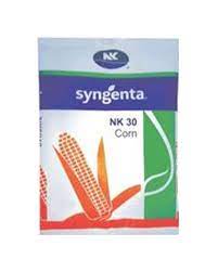 Varză, conopidă, ridichi, hrean, gulie, broccoli și alte. Syngenta Syngenta Nk 30 Plus Hybrid Maize 4 Kg Seed Agrostar
