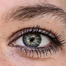 Cassidy allen chubb 6 min quiz did you know that there are more. Eyesight Is More Than 20 20 Vision Guilderland Ny Guilderland Vision Care