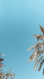 See more ideas about aesthetic backgrounds, aesthetic wallpapers, iphone background. 310 Summer Iphone Wallpapers Ideas Summer Iphone Iphone Wallpaper Wallpaper