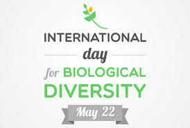 Celebrate The International Biological Diversity By Saving The Nature Internationalbiologicaldiversity International Day Day Panama Travel