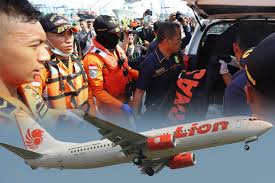 Indonesia finds body parts, debris, detects emergency signal of crashed jet. Lion Air Crash 24 Bags Of Body Parts Retrieved From Sea Deythere