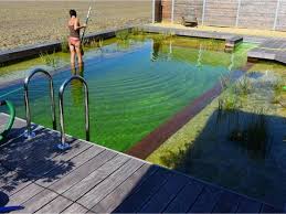 Alben Galerie Der Treffpunkt Fur Schwimmteich Und Naturpool Freunde Naturschwimmbecken Naturschwimmbader Schwimmteich