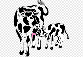 Belajar beternak sapi lucu untuk anak seru banget deh !! Angus Sapi Operasi Sapi Anak Sapi Hereford Yang Lain Bermacam Macam Mamalia Sapi Png Pngwing