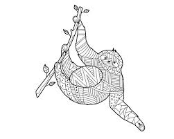 Sloth, sloth coloring page for kids: Sloth Coloring Stock Illustrations 256 Sloth Coloring Stock Illustrations Vectors Clipart Dreamstime