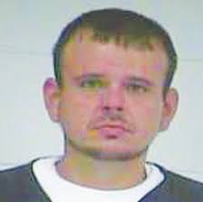 Large marijuana plants found