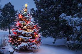 Fort Concho Christmas 2022 Christmas At Old Fort Concho 2022 In San Angelo, Tx | Everfest