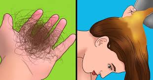 Treatments for hair loss embody medicines, surgery to promote hair progress and sluggish hair loss. I Ve Spent 5 Years Trying To Repair My Damaged Hair And Now I Ll Share What Really Helped Me
