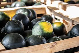 Look through examples of potato translation in sentences, listen to pronunciation and learn grammar. Samoa Observer Tongan Farmers Showcase Their Produce In Samoa