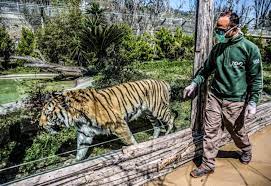 Lo zoo di napoli via arturo labriola, 74 ( aperto solo nel. Riapre Lo Zoo Di Napoli