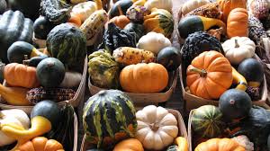 A Complete Ranking Of Edible Gourds And How To Eat Them Growing Pumpkins Gourds Planting Pumpkins