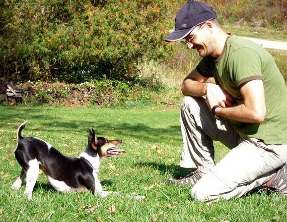 Bí ẩn chuyện về "thần giao cách cảm" giữa người với vật nuôi