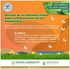 Jueves 19 de agosto de 2021 lluvias intensas con lluvias puntuales torrenciales (150.1 a 250.0 mm): Conagua On Twitter El Ano 2021 Es El Comienzo Del Decenio De Las Nacionesunidas Sobre La Restauracion De Los Ecosistemas Una Iniciativa Global Para Detener Y Revertir La Degradacion Del Mundo Natural