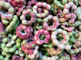 Image result for Pithecellobium dulce