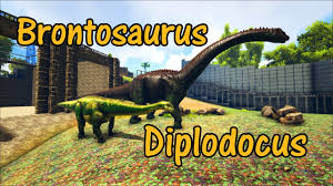 Diplodocus had a long neck that it would have used to reach high and low vegetation, and to in 1905 a cast of a diplodocus skeleton was donated to the museum by the wealthy businessman andrew. Diplodocus And Brontosaurus Educational Special 62 Youtube