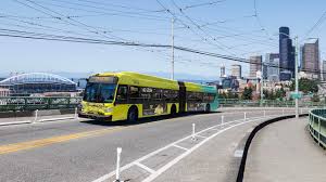 Image result for Dark Yellow Green 2016 Fleet