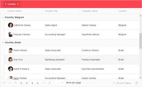 Kendo Ui Telerik Ui For Asp Net Mvc Core Screenshots