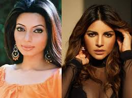 Image result for shama sikander