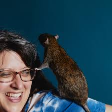 How an Animal Rescuer and Cat Cafe Owner Spends Her Sundays