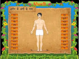 Human Body Parts Name Body Parts In Hindi For Class 1st Kids