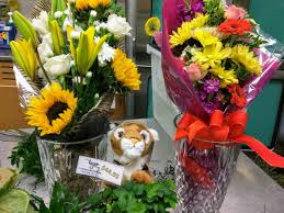 Experts in creating a clean & healthy home. Tiger Garden Mutigergarden Twitter