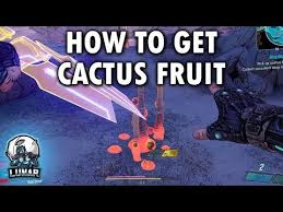 They will then drop the cacti for you to pick up. Borderlands 3 How To Pick Up Cactus