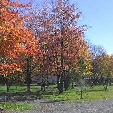 Hamburg motorhome renr hire caravan camper rv hamburg germany vacation rent hamburg. Ballards Camping Rv Center 1 Tip From 16 Visitors