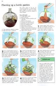 Japanese Forest Grass Shade Garden In 2020 Plants Bottle Garden Self Sustaining Terrarium