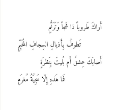 يزيد بن معاوية Words Quotes Arabic Poetry Arabic Love Quotes