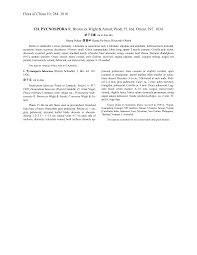 Image result for Pycnospora