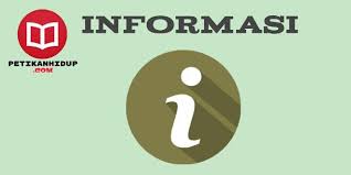 Pengertian Informasi Dan Cara Menyimpulkan Informasi Petikanhidup Buku Guru Orang