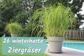 Von diybook am 18.11.2016, in garten garten und grünanlagen. Winterharte Ziergraser 26 Graser Fur Kubel Garten Gartenlexikon De