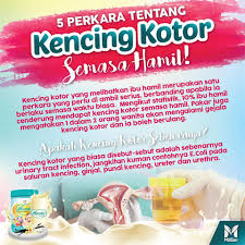 Bukan hanya manfaat untuk menghilangkan darah kotor saja yang bisa anda dapatkan, tapi daun nimba juga merupakan daun yang bakal membantu mengobati. 5 Perkara Tentang Kencing Kotor Semasa Moeder Kasih Ibu Facebook