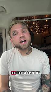 Balanced Dog Training Techniques for Aggressive Dogs